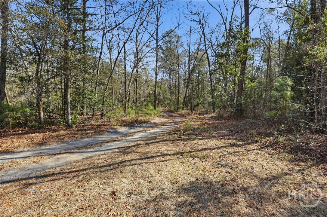 123 High Bluff Road Rincon, GA 31326 - Photo 6 of 39