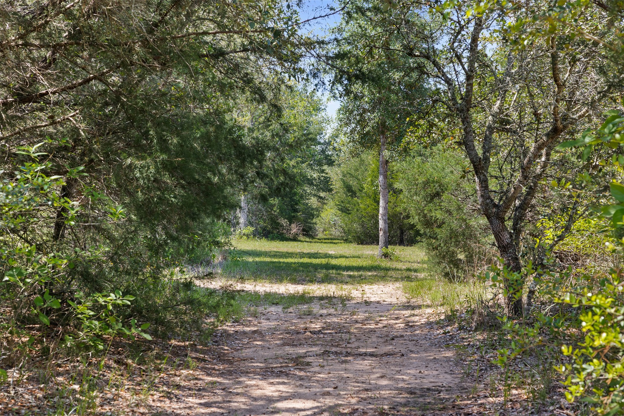 2215 Oak Ridge Road Weimar, TX 78962 - Photo 30 of 36
