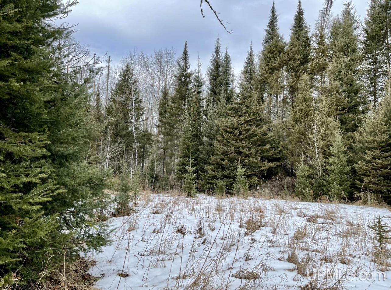 Tbd Smoky Lake Road Iron River, MI 49935 - Photo 3 of 5