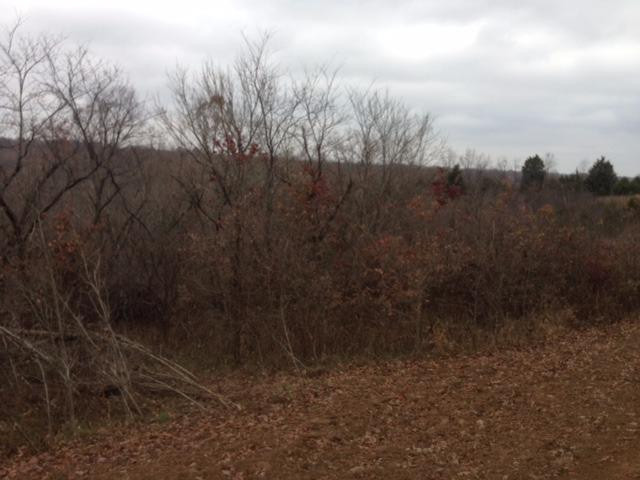 762 New Dividing Ridge Road Mount Olivet, KY 41064 - Photo 3 of 7 Gallery Image 3