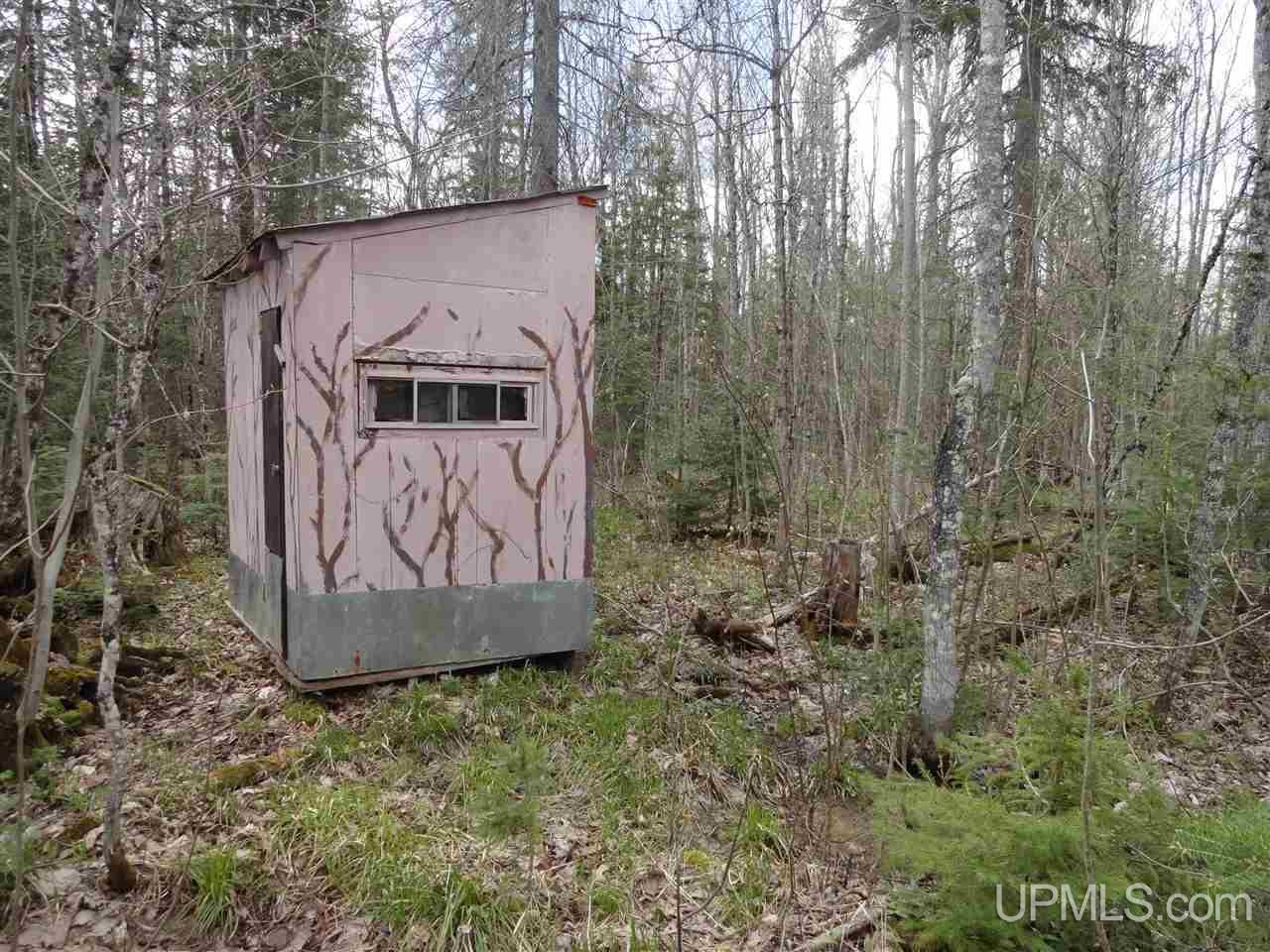 East Shore Road Marenisco, MI 49947 - Photo 4 of 12