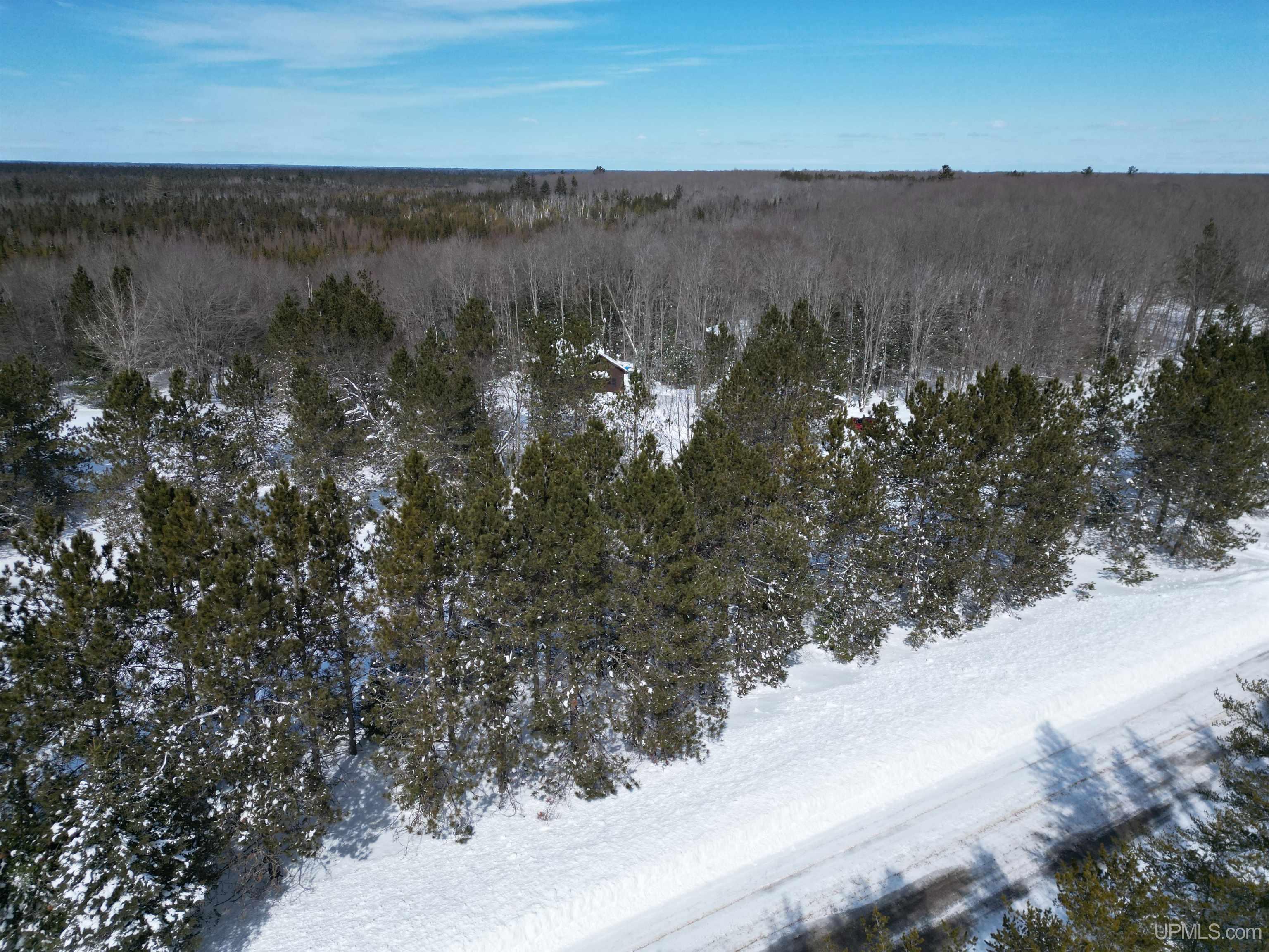 Tbd West Smith Lake Road Manistique, MI 49854 - Photo 6 of 20
