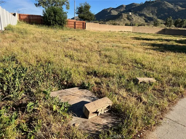 a view of a yard
