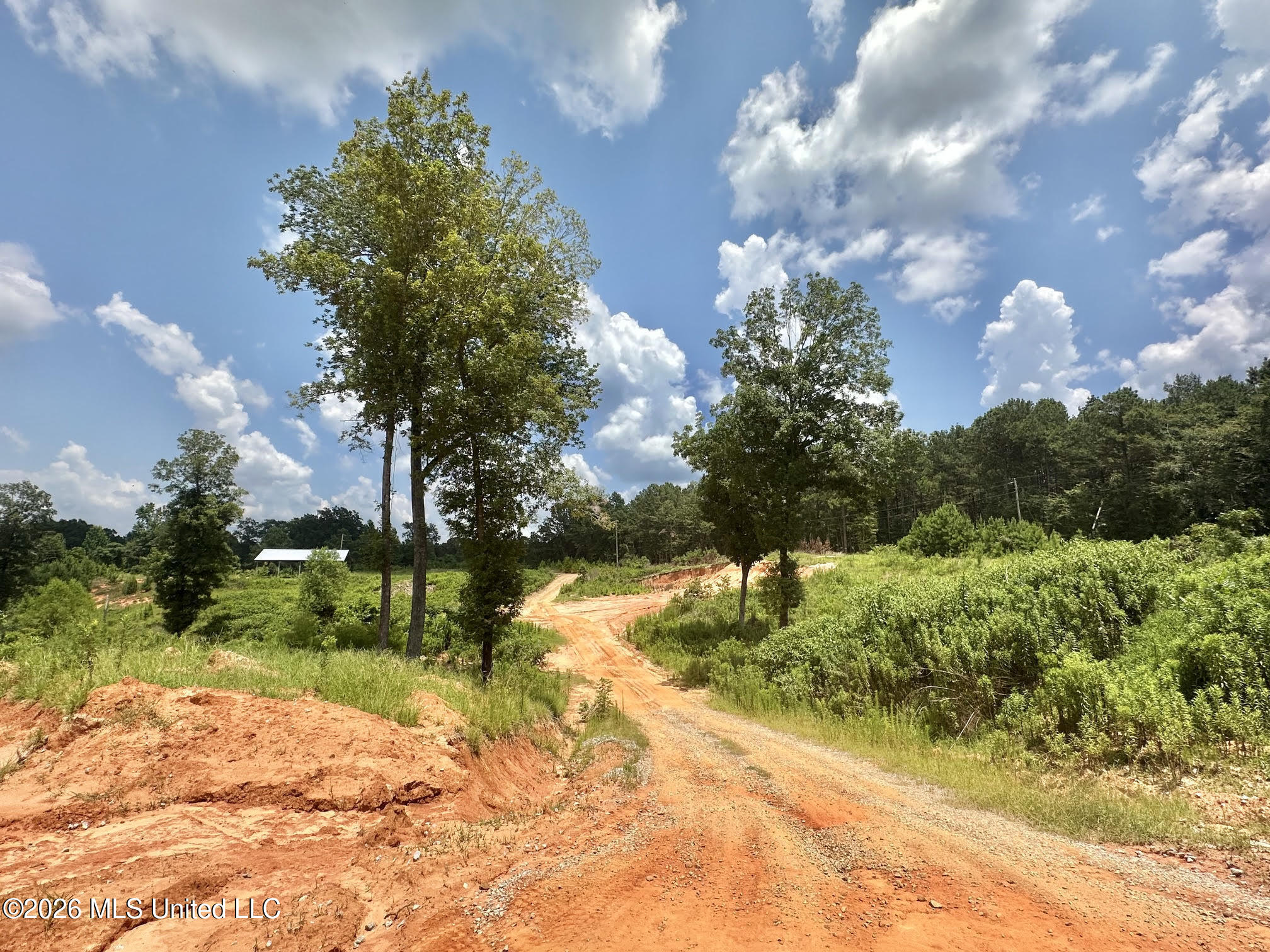 Callahan Road Carthage, MS 39051 - Photo 10 of 14 10