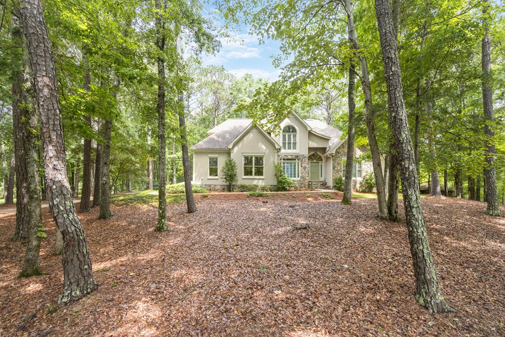 11045 Warm Springs Road Midland, GA 31820 - Photo 2 of 46