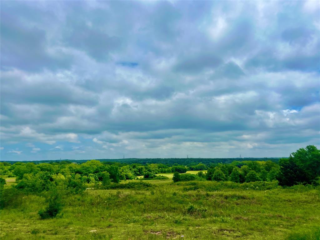 Lot 10 Clare Road Poolville, TX 76487 - Photo 4 of 5 View of mother earth's splendor