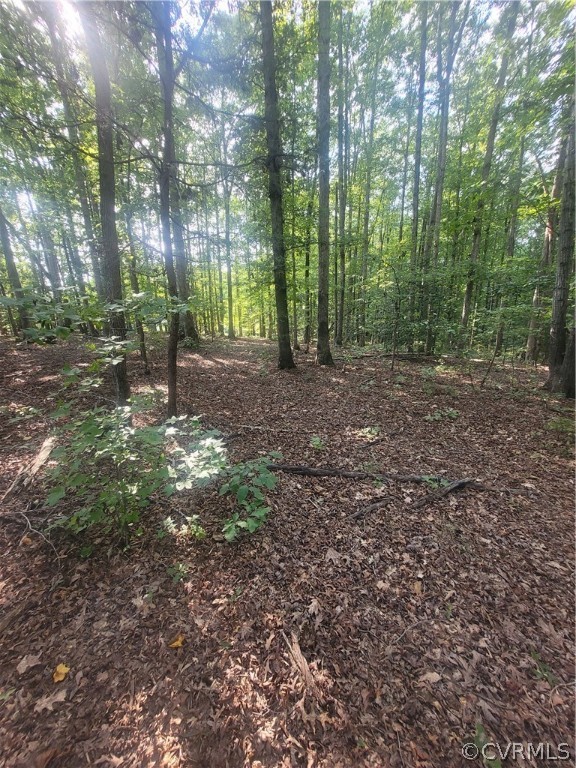 1134 Old Hundred Road Midlothian, VA 23114 - Photo 2 of 7 Gallery Image 2