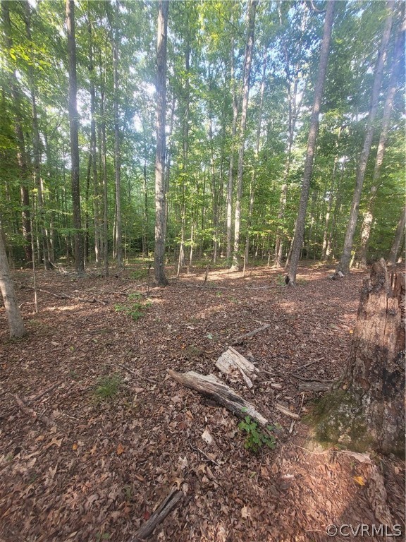 1134 Old Hundred Road Midlothian, VA 23114 - Photo 4 of 7 Gallery Image 4