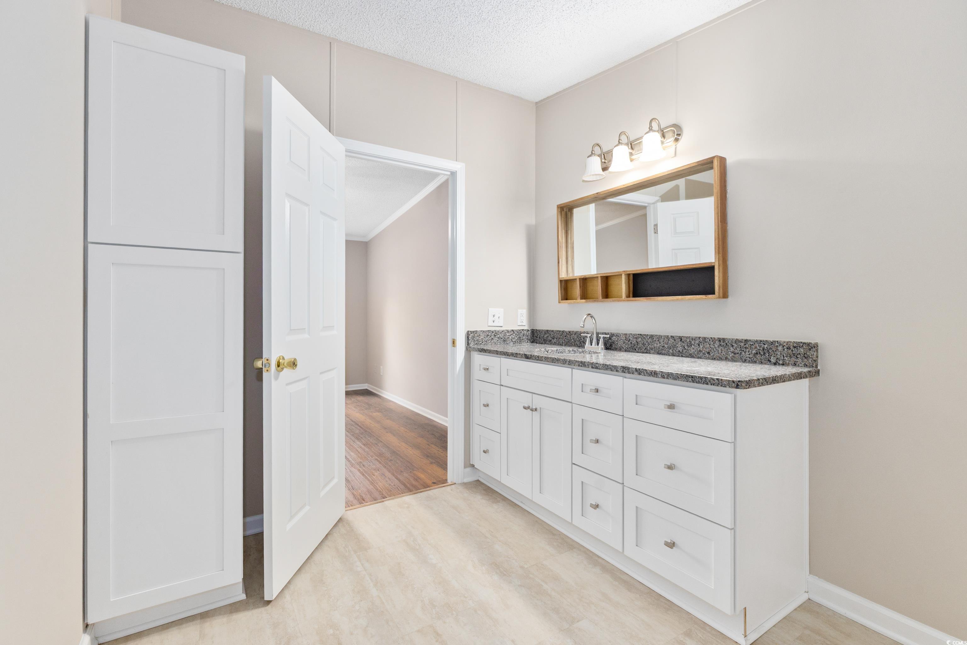 3106 Dog Bluff Road Aynor, SC 29511 - Photo 16 of 27 Bathroom with vanity, light wood finished floors, and a textured ceiling