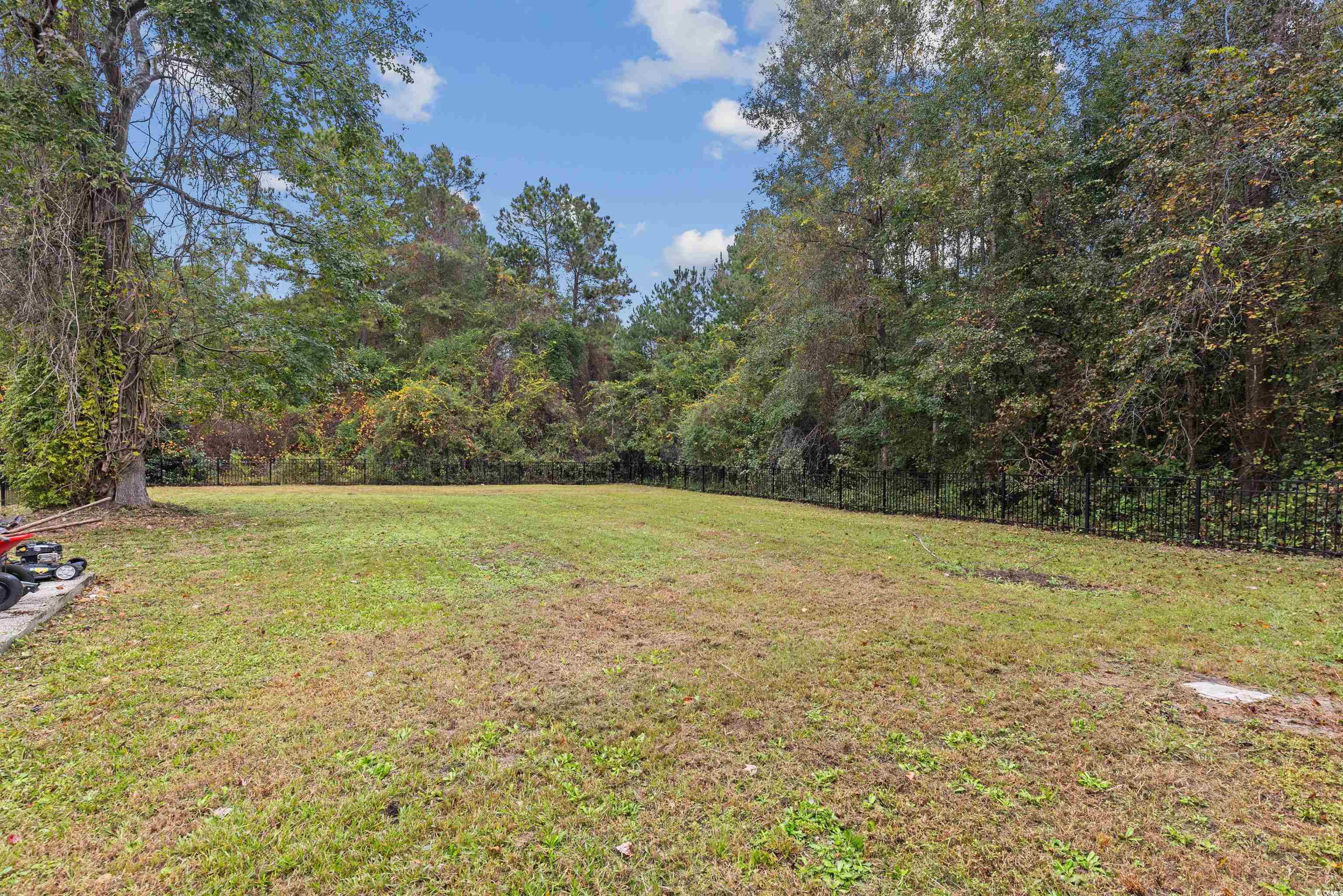 3106 Dog Bluff Road Aynor, SC 29511 - Photo 22 of 27 View of yard