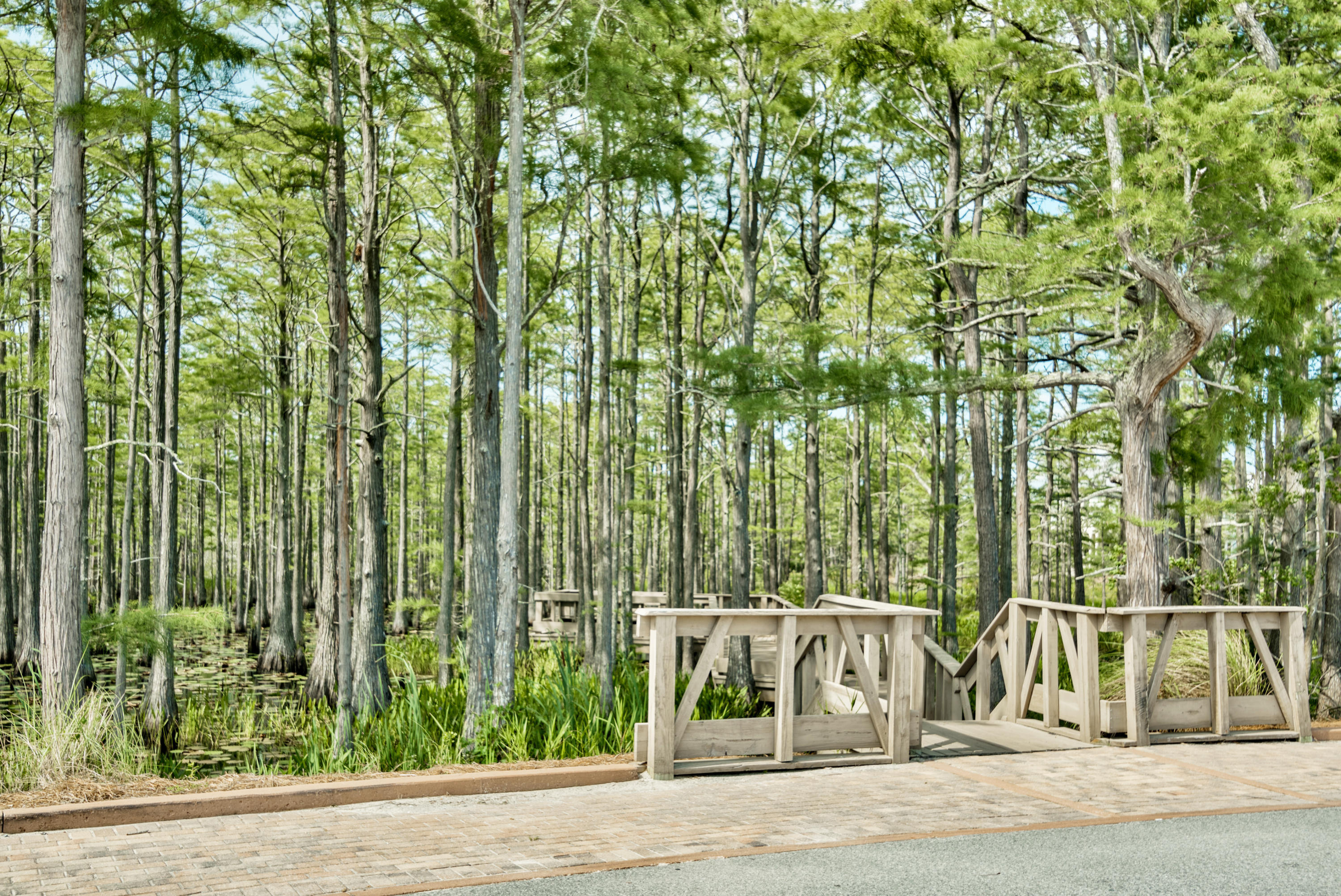 23 B Cypress Ridge Santa Rosa Beach, FL 32459 - Photo 58 of 76 Gallery Image 58