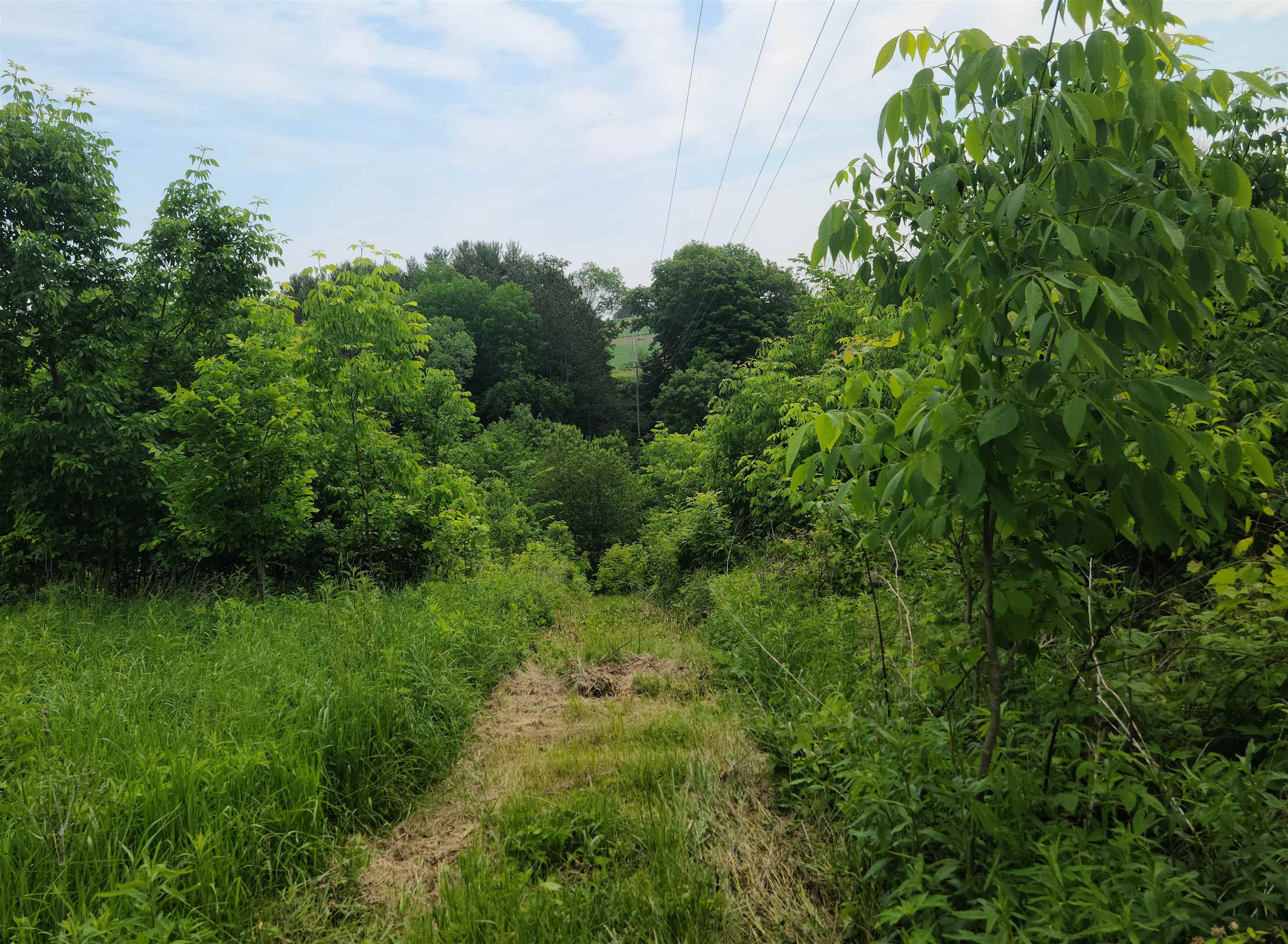 4.07-ac Little Bear Road Spring Green, WI 53588 - Photo 4 of 6