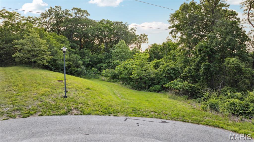 4545 Killdeer Drive Augusta, MO 63332 - Photo 2 of 16