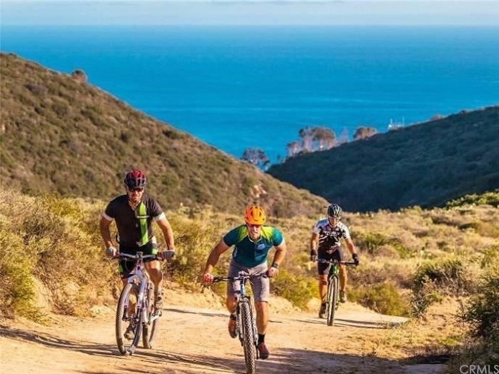 1315 Pitcairn Place Laguna Beach, CA 92651 - Photo 27 of 30