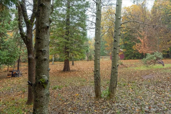 $416,900 | 2273 Flanders Drive, Arnold, CA 95223