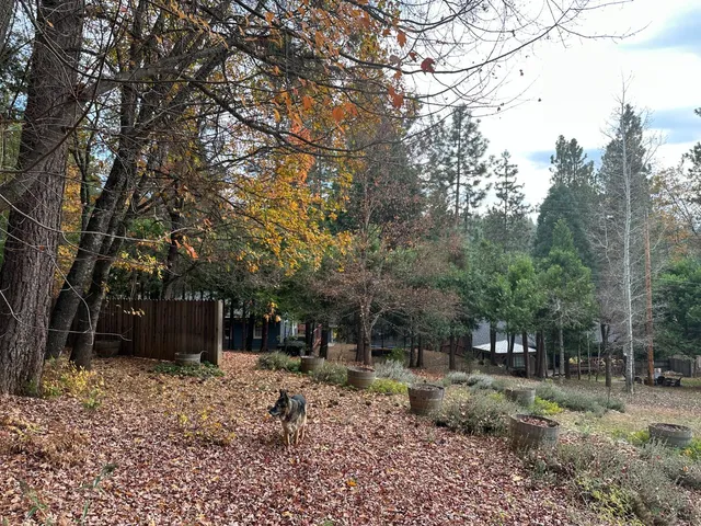 $439,000 | 2273 Flanders Drive, Arnold, CA 95223