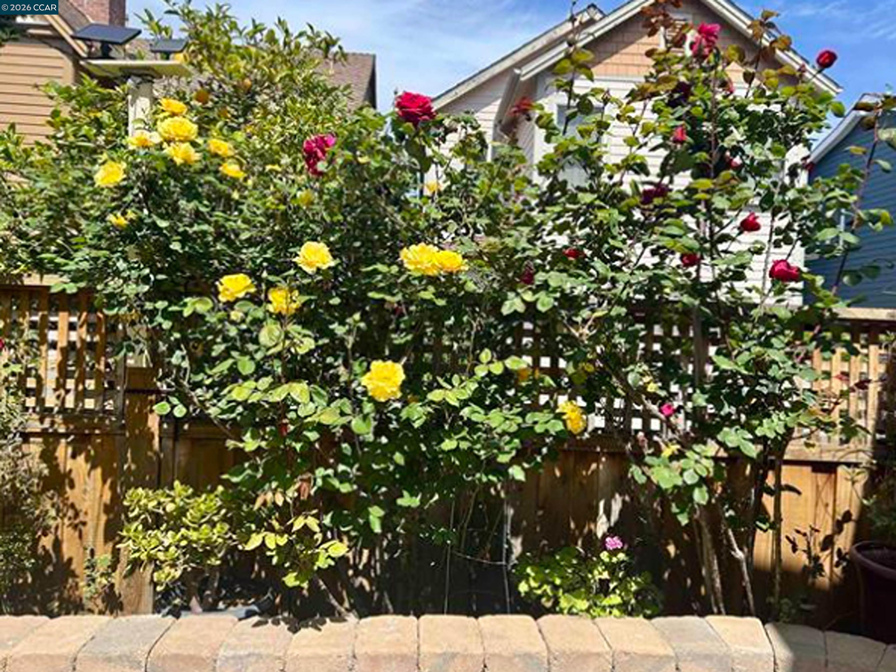 2036 Serra Lane Hercules, CA 94547 - Photo 20 of 50 a view of flowers in a tree