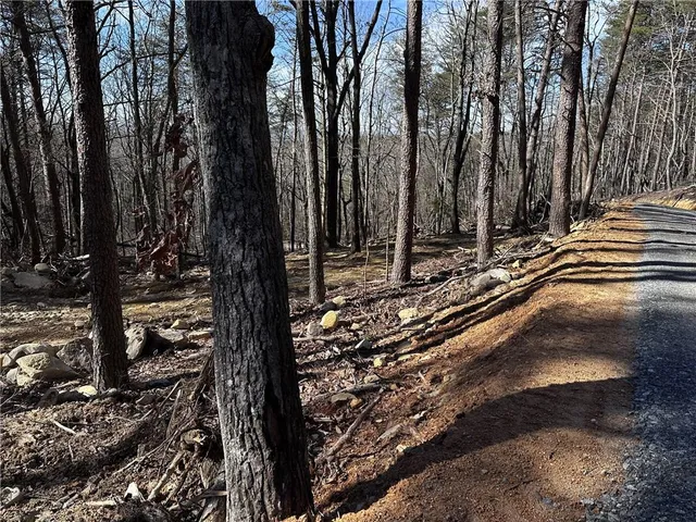 $125,000 | 1776 Mulberry Circle, Jasper, GA 30143