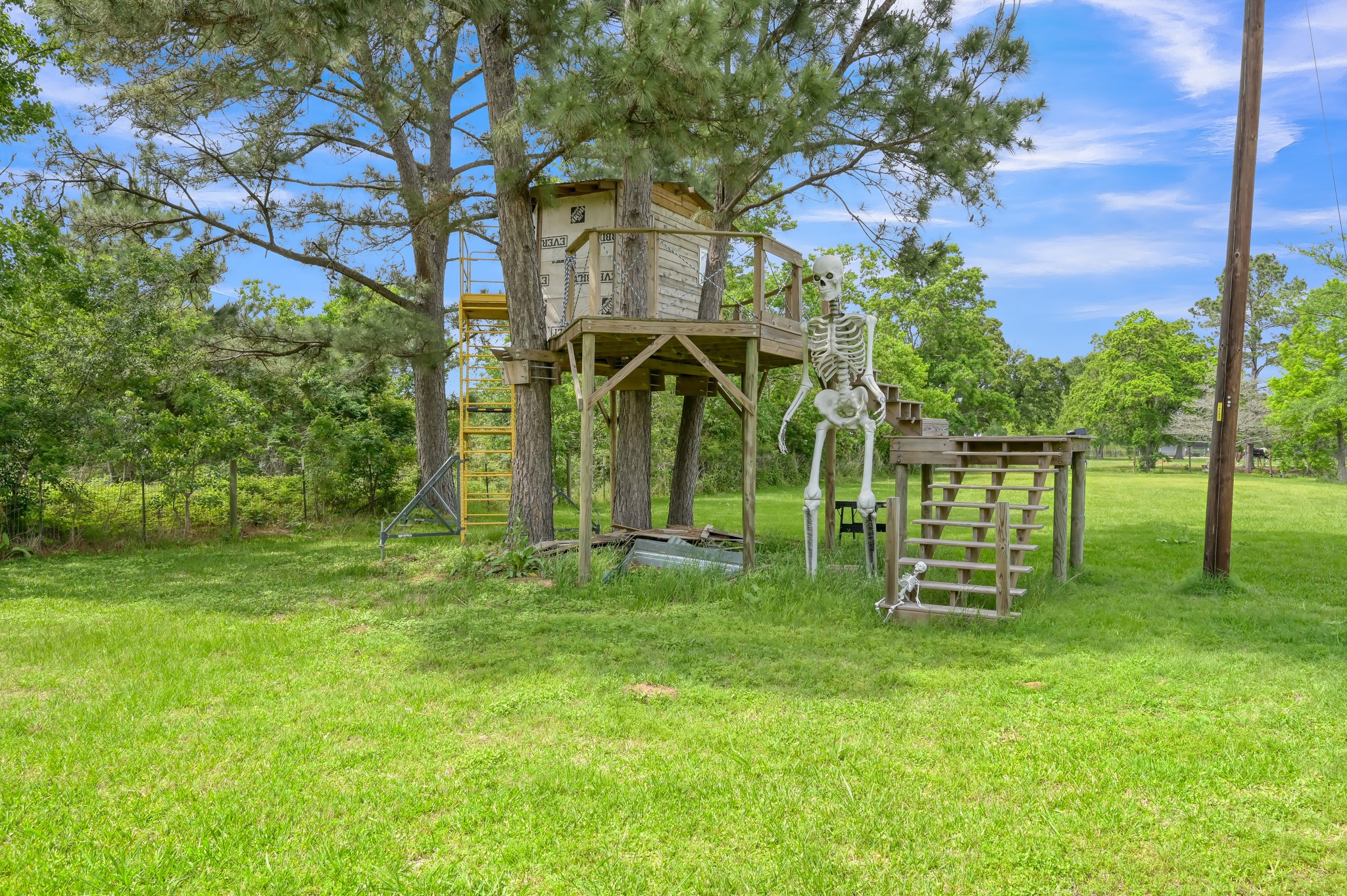 251 Petty Road Waller, TX 77484 - Photo 18 of 25 a view of a park with large trees