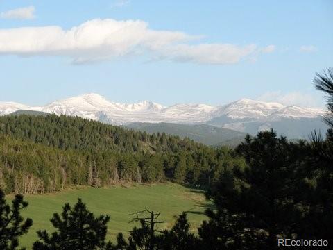 7794 Rossman Gulch Road Morrison, CO 80465 - Photo 35 of 35 Gallery Image 35