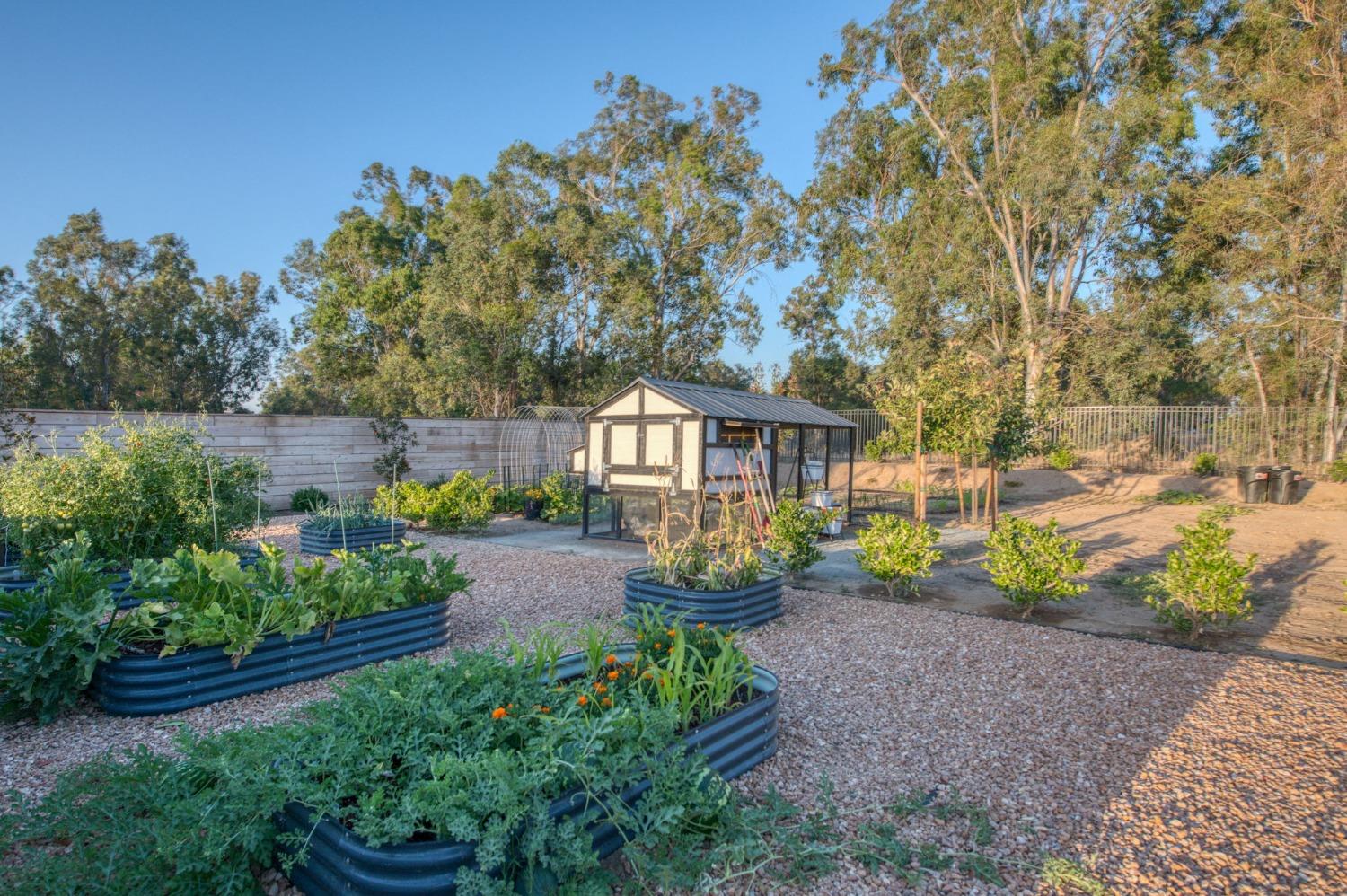 3895 East Reno Avenue Clovis, CA 93619 - Photo 48 of 67 a front view of a house with garden
