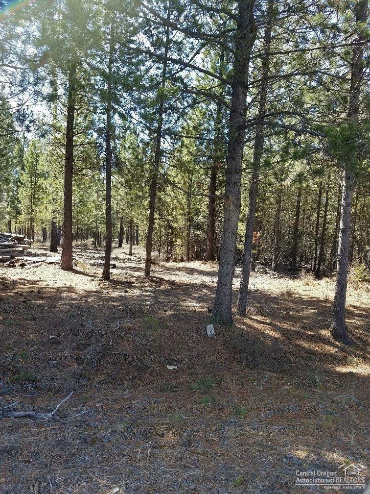 4600 Shellie Lane La Pine, OR 97739 - Photo 1 of 2 Primary Photo