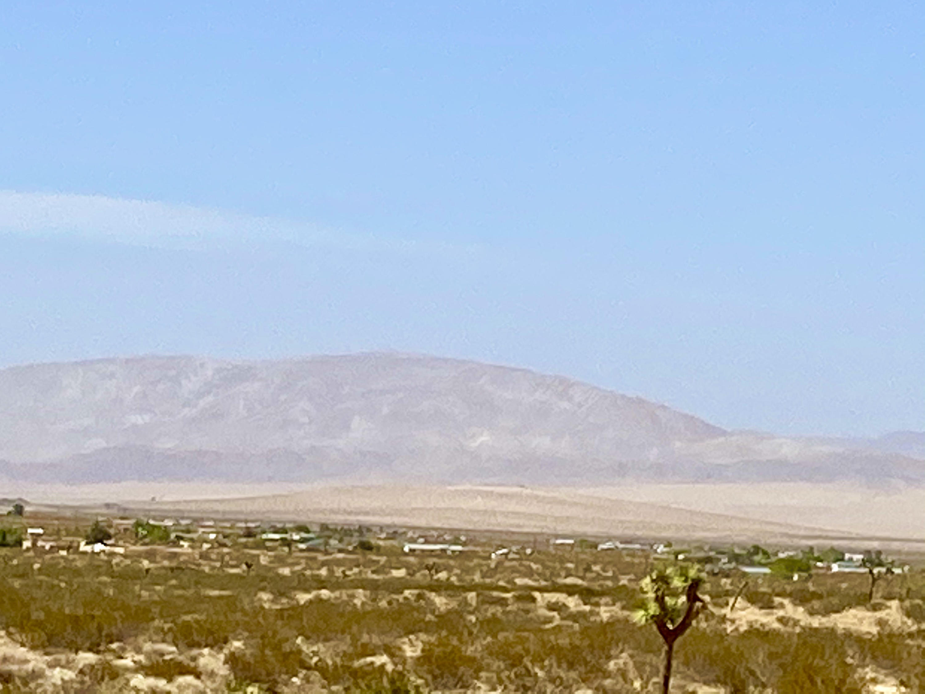 136 Mallow Road Landers, CA 92285 - Photo 11 of 17 IMG_2383