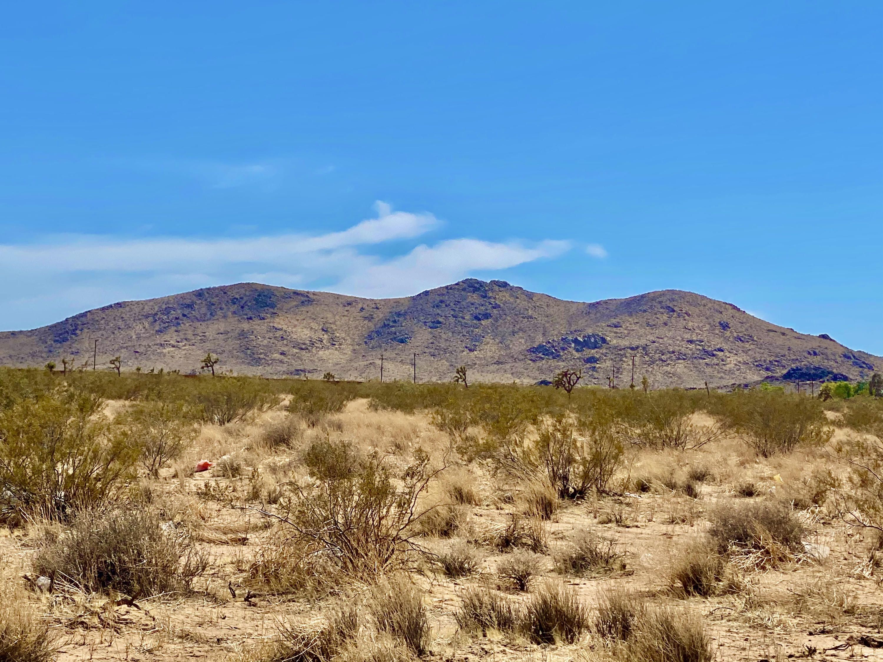 136 Mallow Road Landers, CA 92285 - Photo 13 of 17 IMG_2387