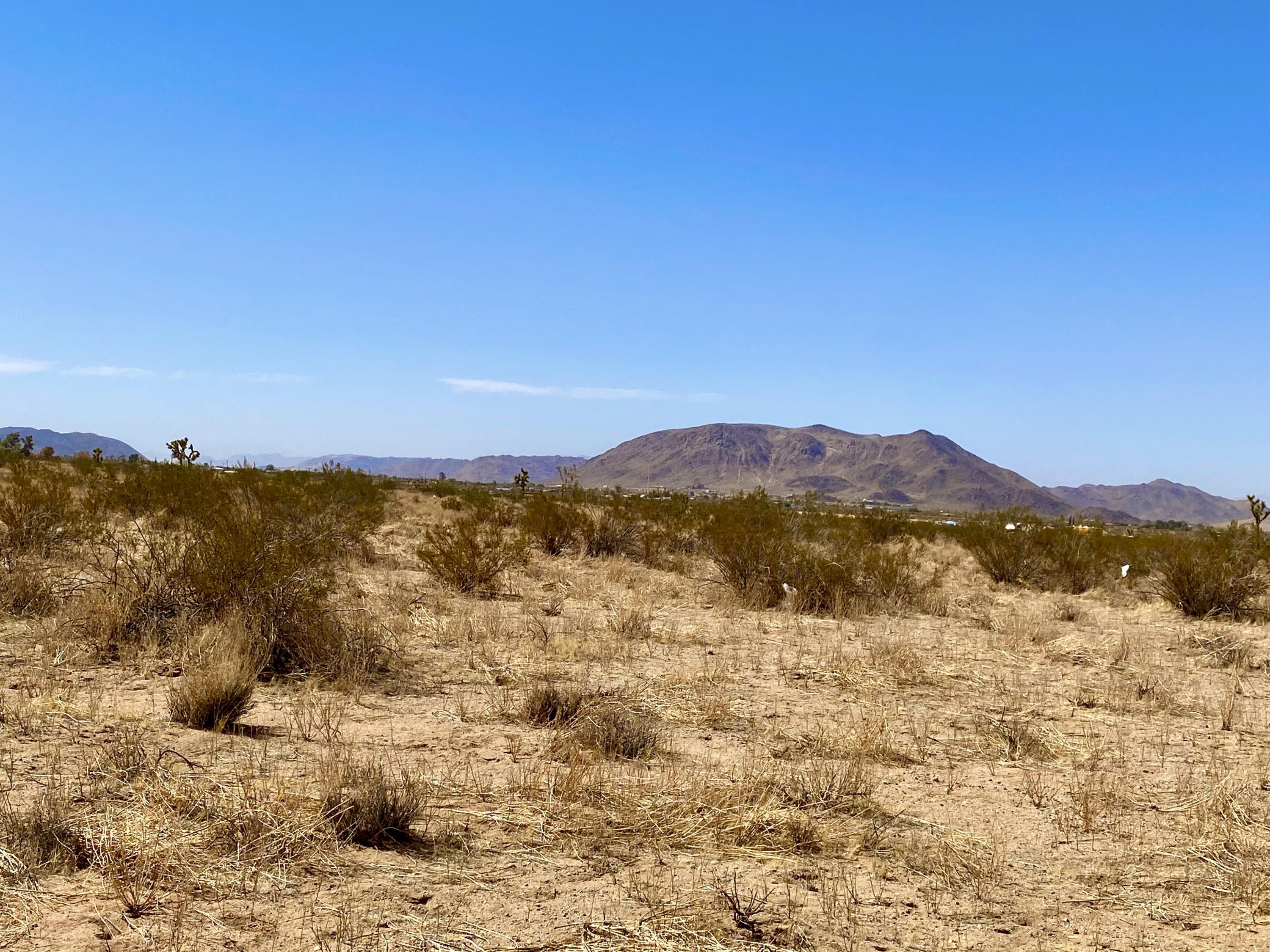 136 Mallow Road Landers, CA 92285 - Photo 14 of 17 IMG_2393