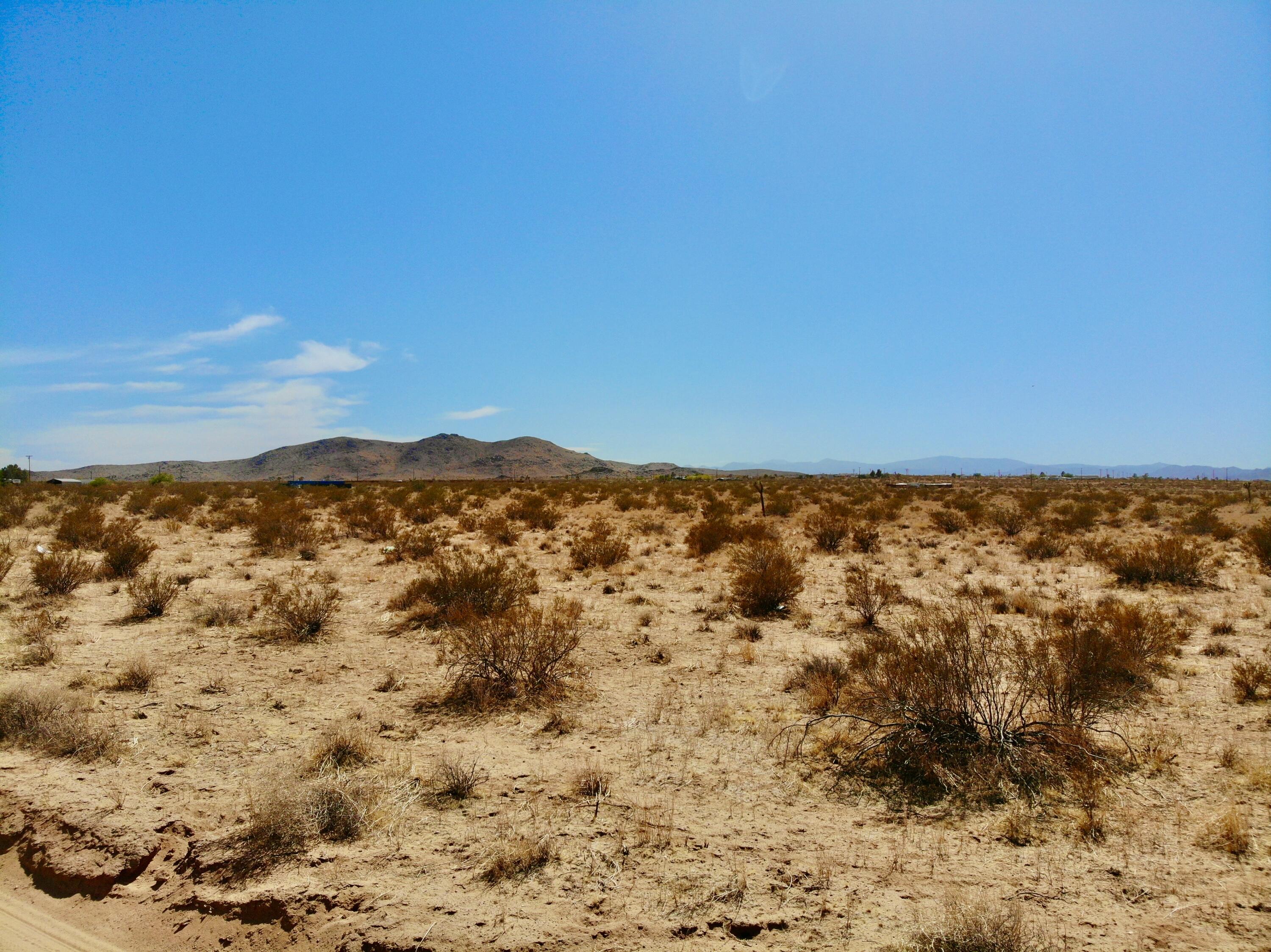 136 Mallow Road Landers, CA 92285 - Photo 16 of 17 3B5E79E3A31911DA6C6F154251BAB076