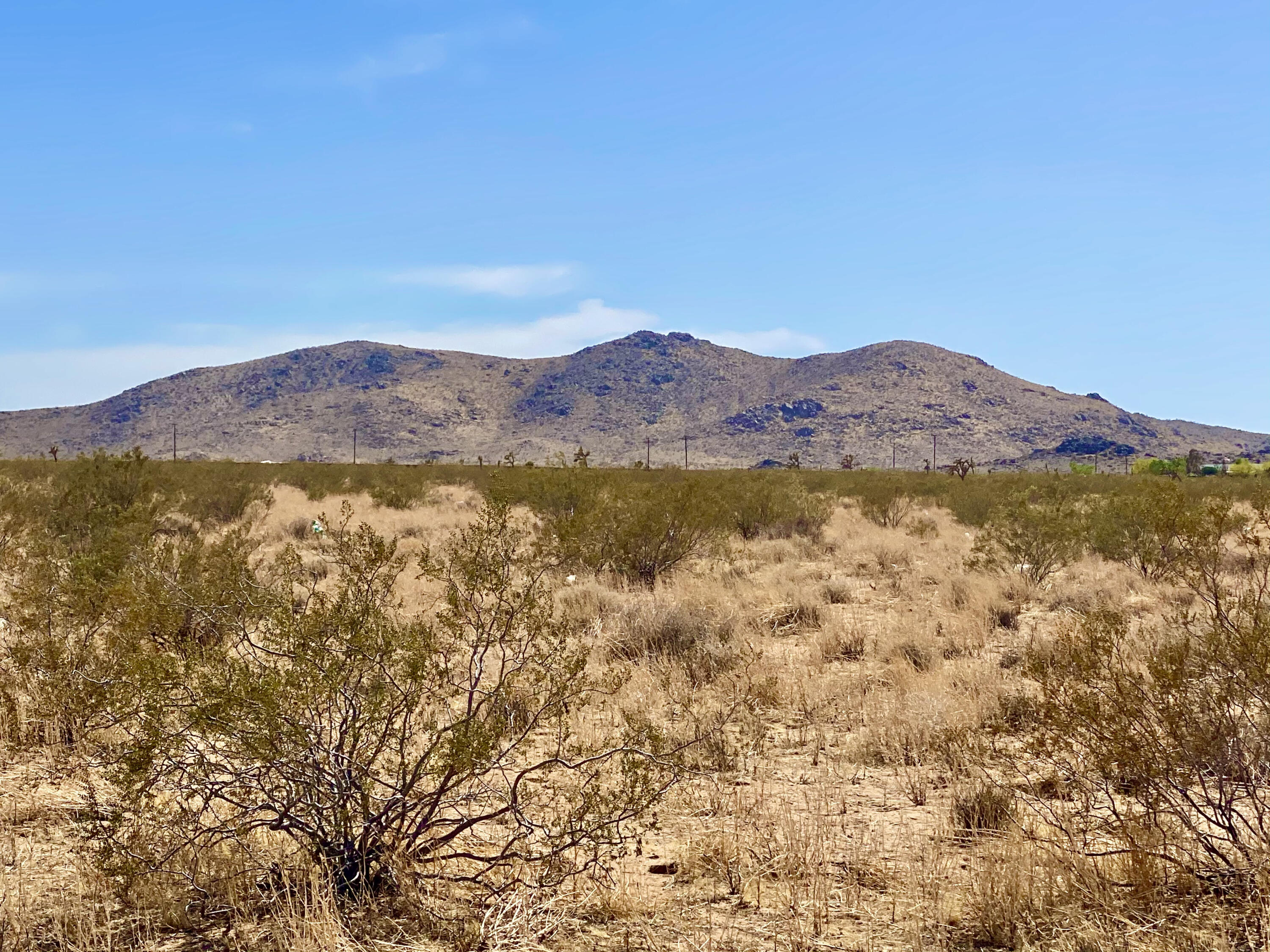 136 Mallow Road Landers, CA 92285 - Photo 5 of 17 IMG_2376