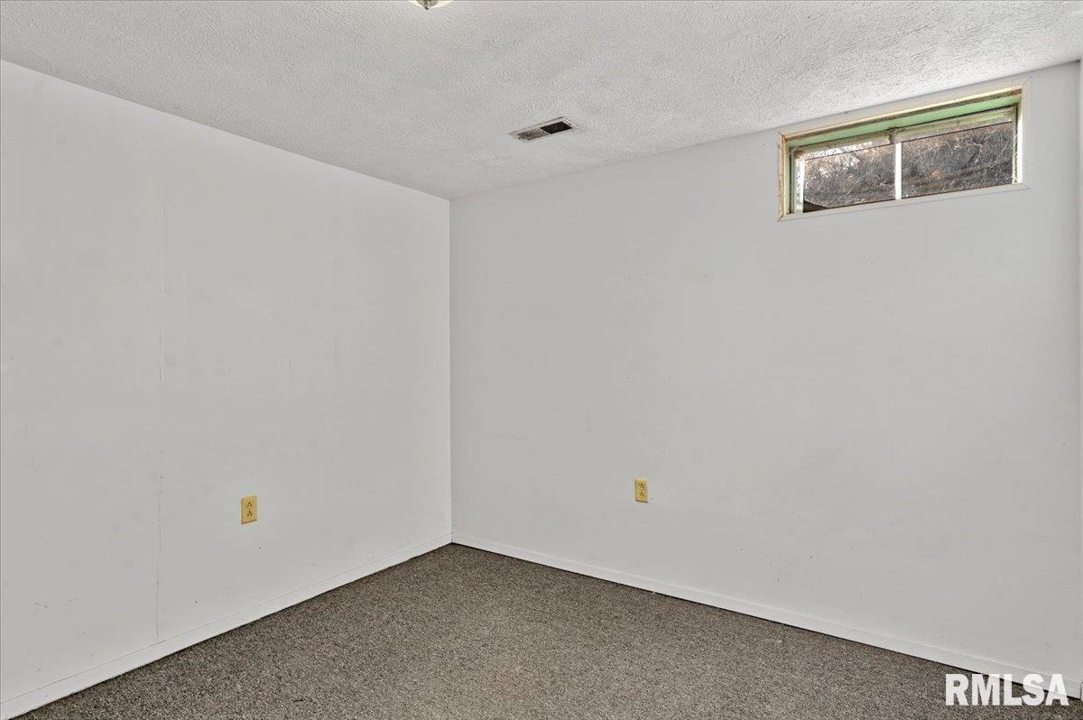 3898 Radford Road Springfield, IL 62707 - Photo 26 of 53