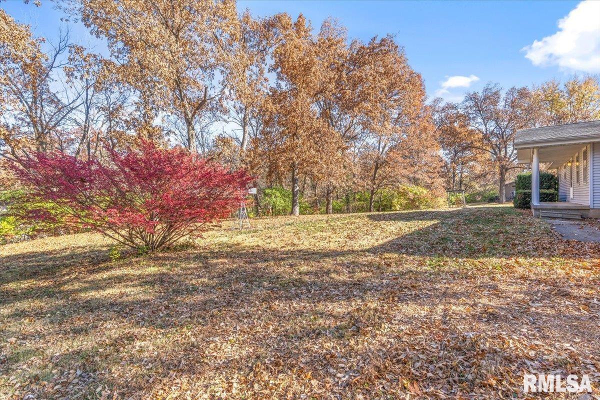 3898 Radford Road Springfield, IL 62707 - Photo 47 of 53