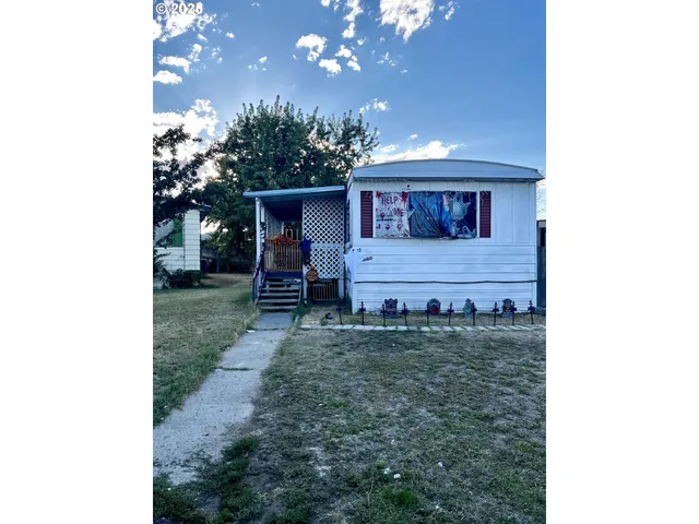 a view of a house with a yard and hanging chair