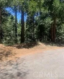 a view of a yard with trees