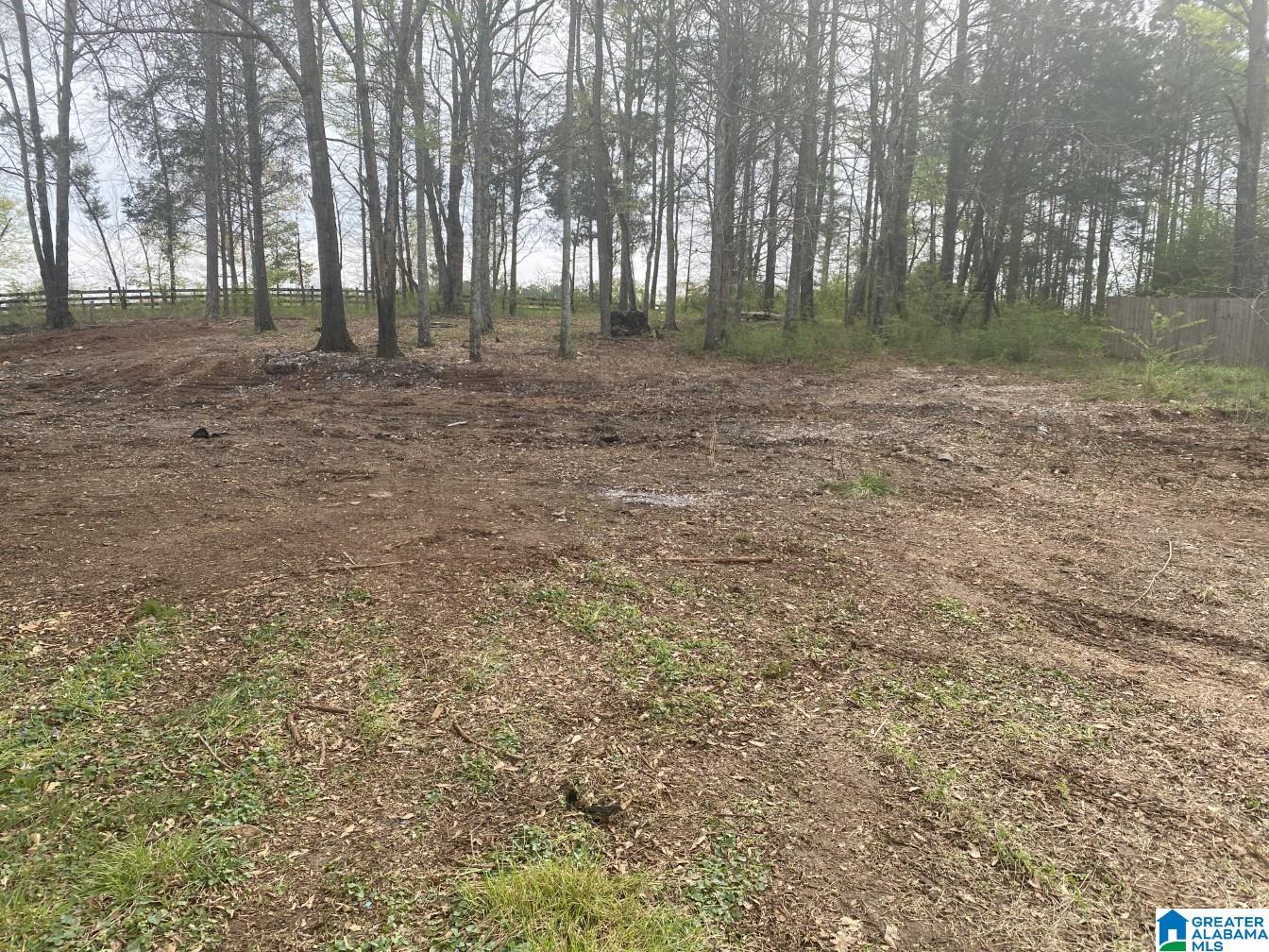 7489 Renfroe Road, Unit 7489 Talladega, AL 35160 - Photo 10 of 15