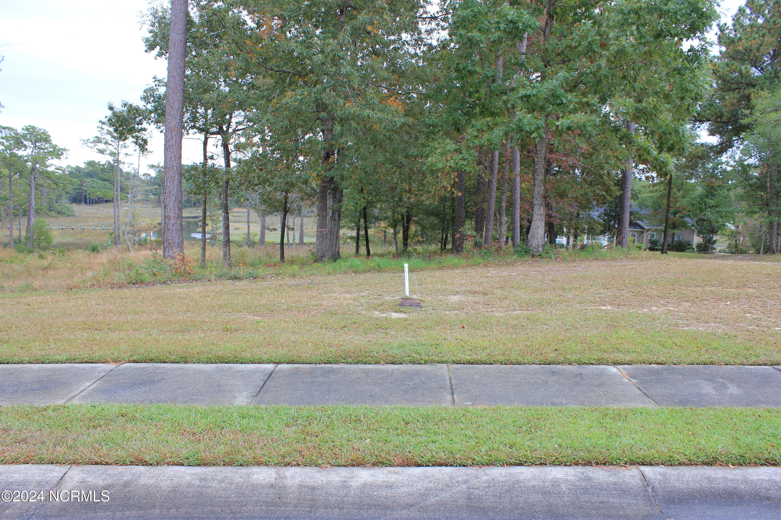 407 Salt Creek Road Swansboro, NC 28584 - Photo 25 of 26 IMG_7553