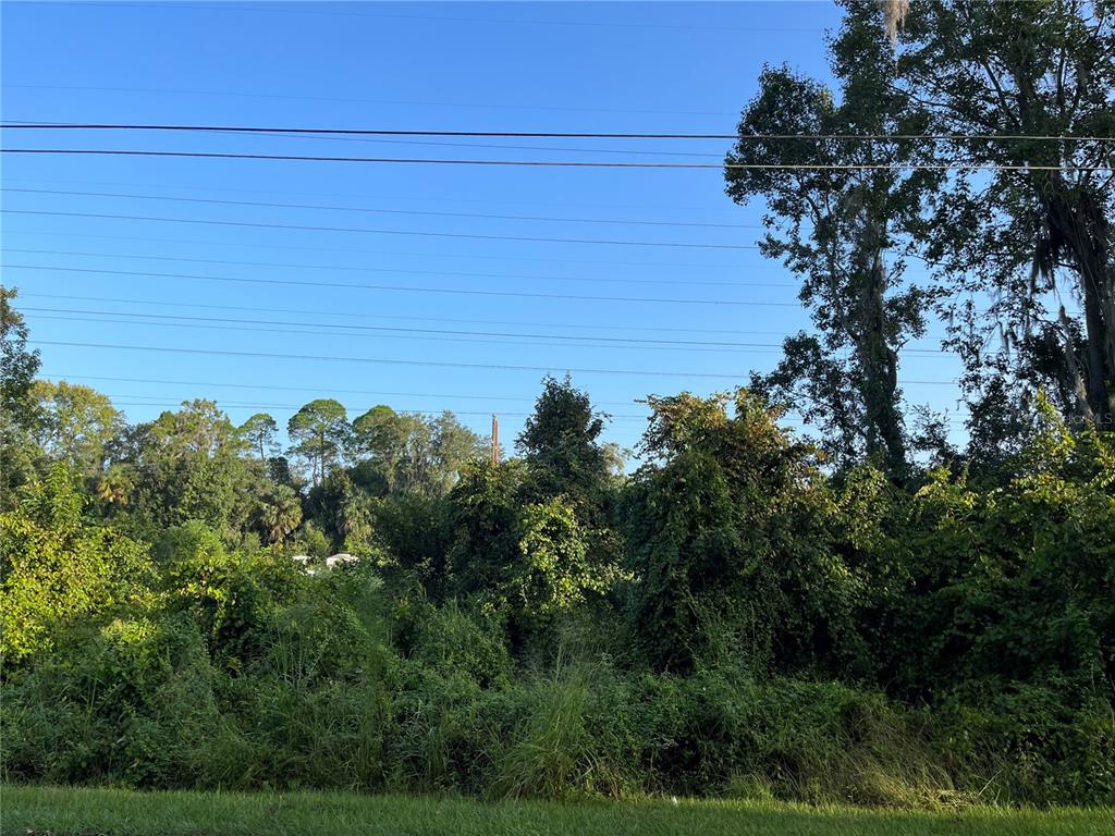 260 Toms Road DeBary, FL 32713 - Photo 1 of 1 Gallery Image 1