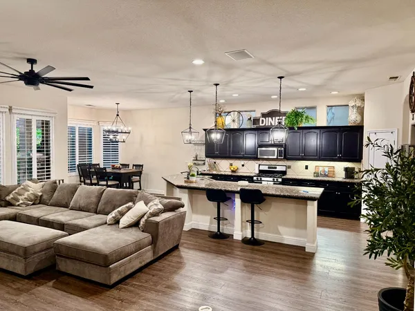 a living room with furniture kitchen view and a potted plant