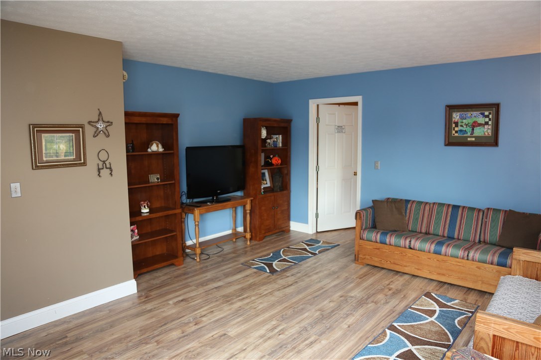 10834 Old Mill Road Spencer, OH 44275 - Photo 12 of 34 In-law suite living room