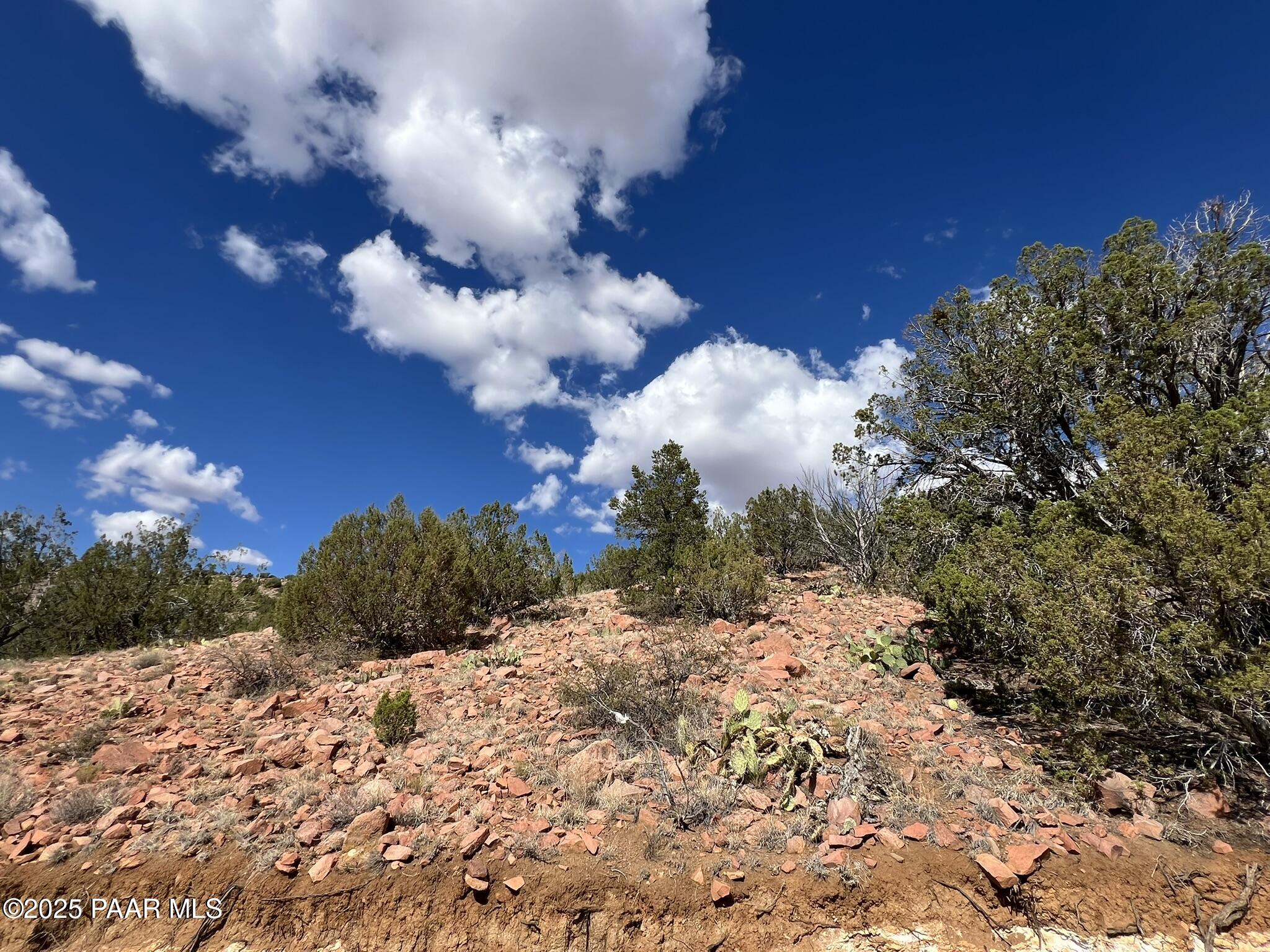 296 Quartz Hill Road Ash Fork, AZ 86320 - Photo 8 of 13 a view of a snow with a yard
