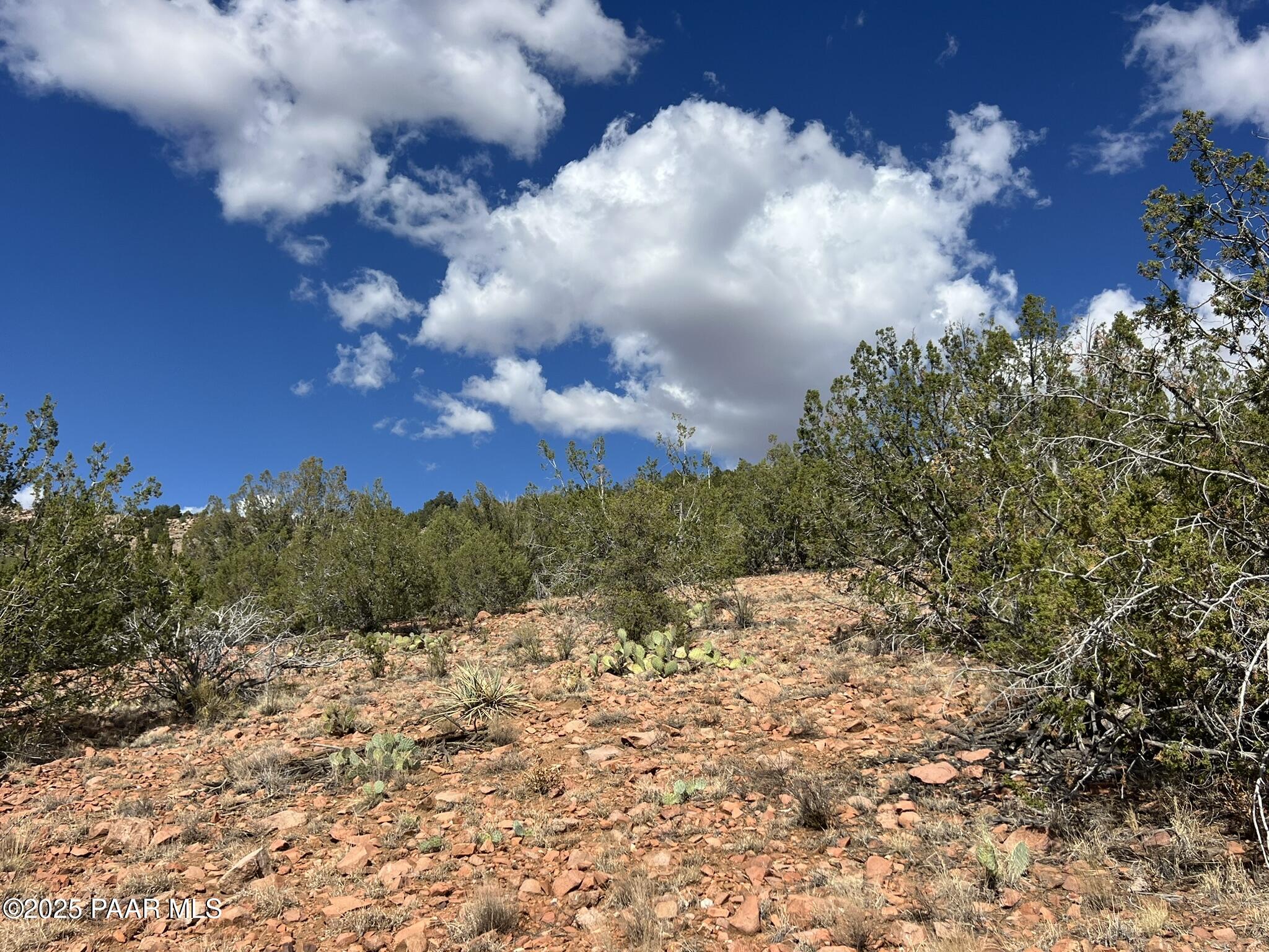 296 Quartz Hill Road Ash Fork, AZ 86320 - Photo 9 of 13 a view of a yard
