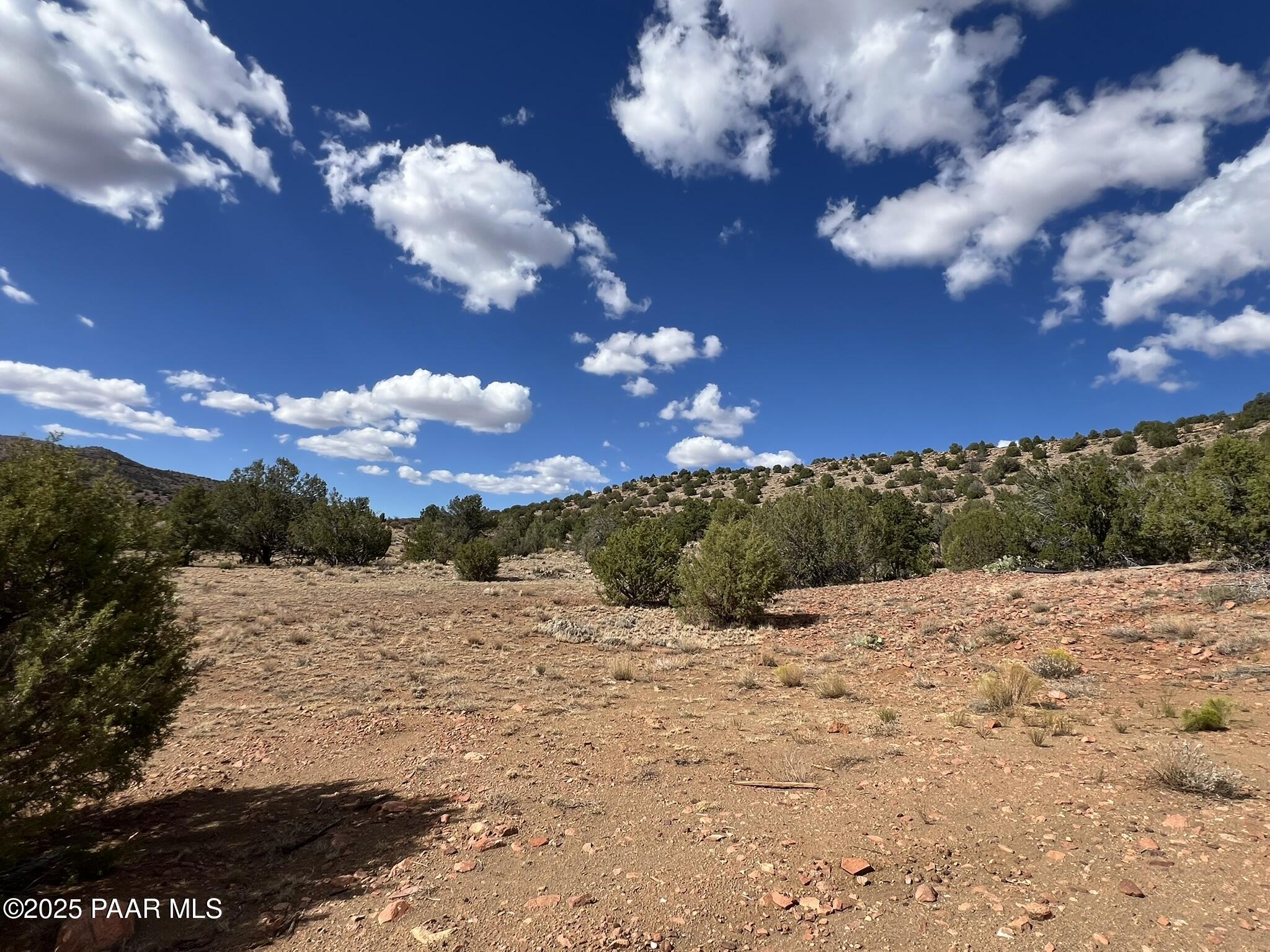 296 Quartz Hill Road Ash Fork, AZ 86320 - Photo 10 of 13 a view of a dry yard