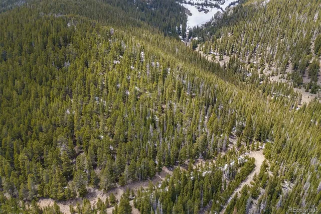 a close up of a plant