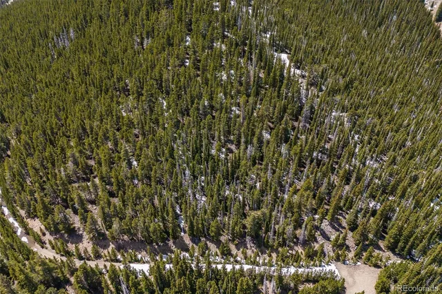 a view of a city with tall trees