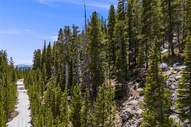 a view of a city with lush green forest