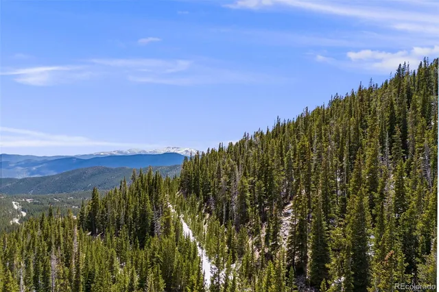 a view of a city with lush green forest