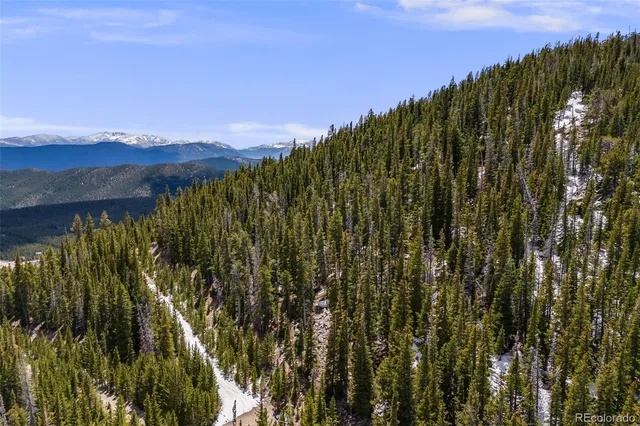 a view of a lush green forest with mountains in the background