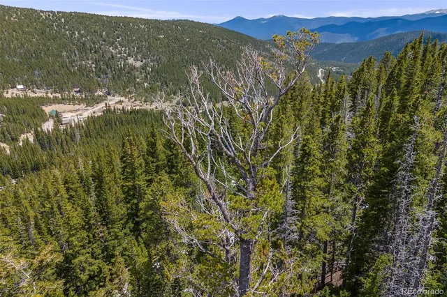 a view of a city with lush green forest