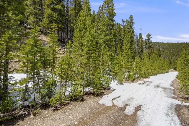 a view of a pathway both side of a road with plants